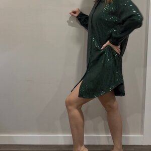 Sequined button up long sleeve dress